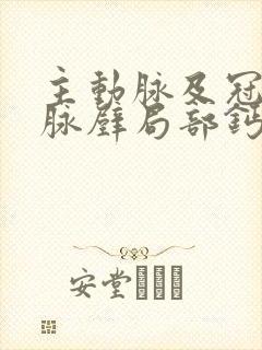 主动脉及冠状动脉壁局部钙化