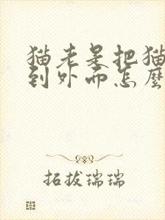 猫老是把猫砂弄到外面怎么回事