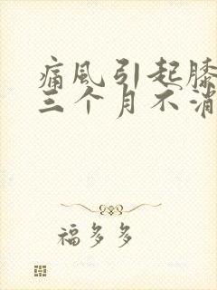 痛风引起膝盖肿三个月不消肿怎么办