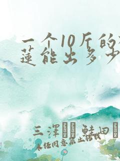 一个10斤的榴莲能出多少肉