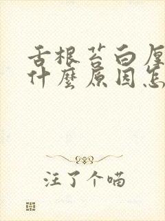 舌根苔白厚腻是什么原因怎么调理