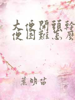 大便开头干硬排便困难怎么办