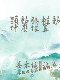 颈动脉椎动脉在什么位置