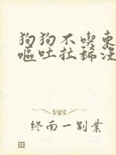 狗狗不吃东西还呕吐拉稀没精神怎么办