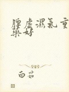 脾虚湿气重吃啥药好