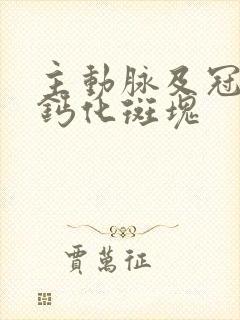 主动脉及冠脉见钙化斑块