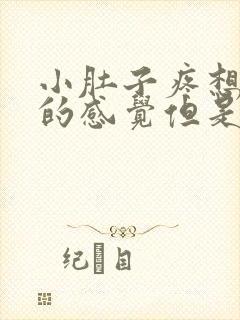 小肚子疼想拉屎的感觉但是拉不出来