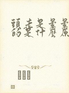 头老是晕晕乎乎的是什么原因