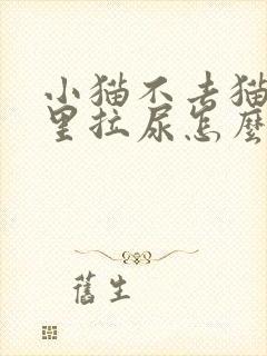 小猫不去猫砂盆里拉尿怎么办