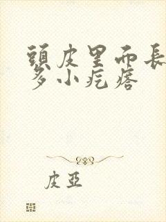 头皮里面长了好多小疙瘩