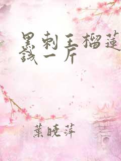 黑刺王榴莲多少钱一斤