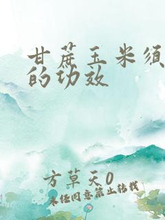 甘蔗玉米须煮水的功效