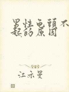 男性龟头不能勃起的原因