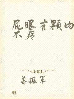 屁眼有颗肉球但不疼