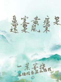 鼻塞黄痰是风热还是风寒