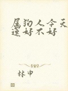 属狗人今天偏财运好不好