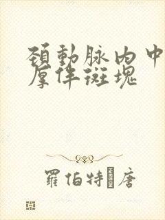 颈动脉内中膜增厚伴斑块