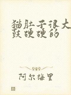 猫肚子很大两侧鼓硬硬的