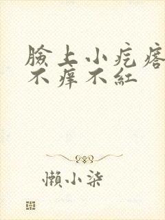 脸上小疙瘩不痛不痒不红