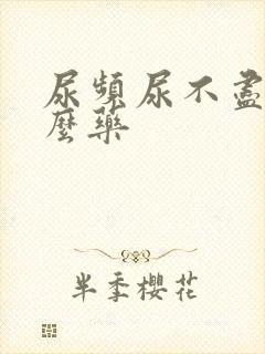 尿频尿不尽吃什么药