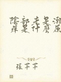 阴部老是潮湿瘙痒是什么原因