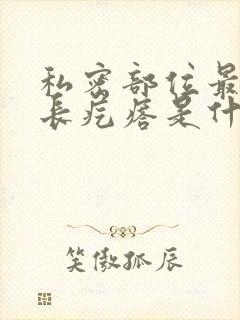 私密部位最上面长疙瘩是什么