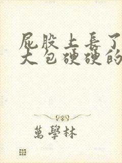 屁股上长了一个大包硬硬的挤出脓