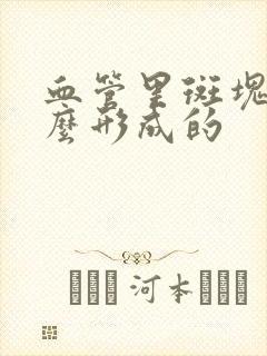 血管里斑块是怎么形成的