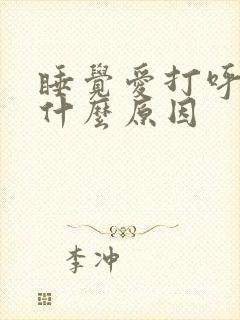 睡觉爱打呼噜是什么原因