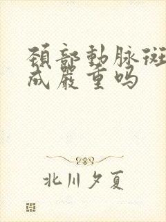 颈部动脉斑块形成严重吗