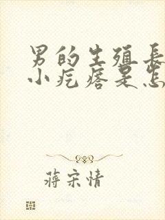 男的生殖长了个小疙瘩是怎么回事