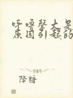 呼噜声大是什么原因引起的