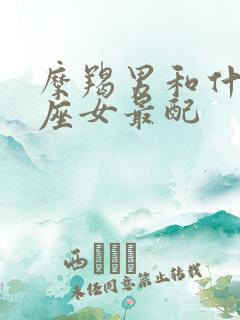 摩羯男和什么星座女最配