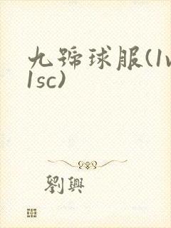九号球服(1v1sc)