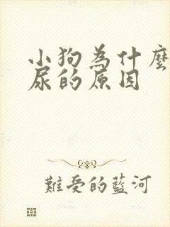 小狗为什么会漏尿的原因