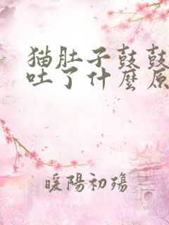 猫肚子鼓鼓的,吐了什么原因