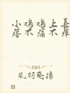 小鸡鸡上长肉疙瘩不痛不痒