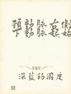 颈动脉右侧锁骨下动脉起始处后壁软斑形成