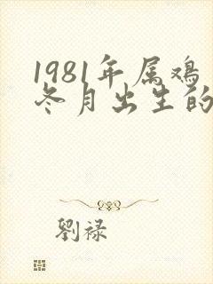 1981年属鸡冬月出生的命运