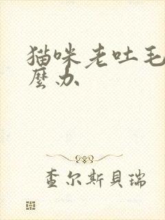 猫咪老吐毛球怎么办