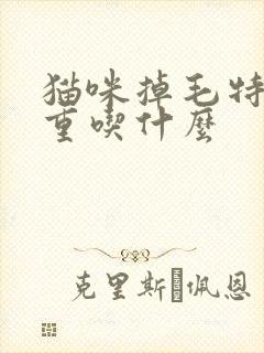 猫咪掉毛特别严重吃什么