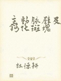 主动脉壁及冠脉钙化斑块