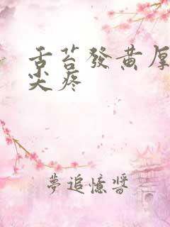 舌苔发黄厚腻舌尖疼