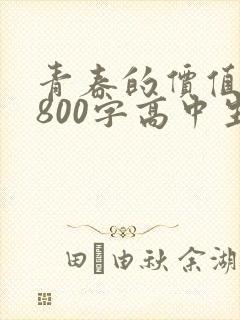 青春的价值作文800字高中生记叙文