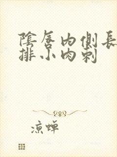 阴唇内侧长了一排小肉刺