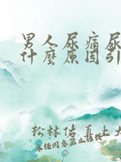 男人尿痛尿出血什么原因引起的