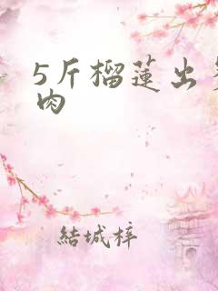 5斤榴莲出多少肉