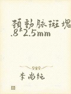 颈动脉斑块18.8*2.5mm