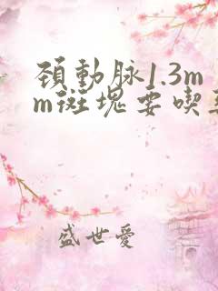 颈动脉1.3mm斑块要吃药吗