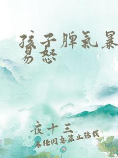 孩子脾气暴躁的易怒